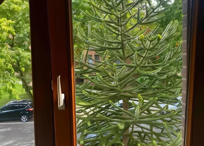 Apartamento Gartenblick-oase: Obergeschosswohnung In Hamburgo